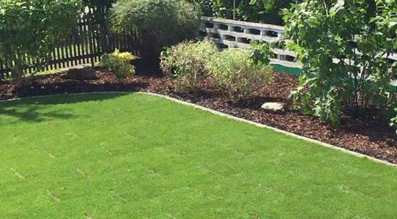 frisch verlegter Rollrasen mit bepflanztem Beet
